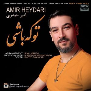 دانلود آهنگ امیر حیدری تو که باشی