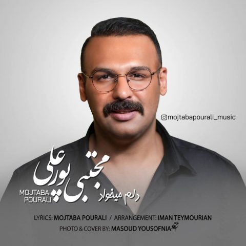 دانلود آهنگ مجتبی پورعلی دلم میخواد