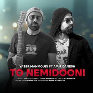 دانلود آهنگ یاسر محمودی و امیر دانش تو نمیدونی دانلود آهنگ یاسر محمودی و امیر دانش تو نمیدونی