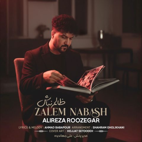 دانلود آهنگ علیرضا روزگار ظالم نباش