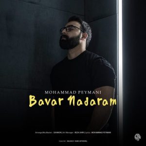 دانلود آهنگ محمد پیمانی باور ندارم