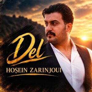 دانلود لری حسین زرینجویی دل